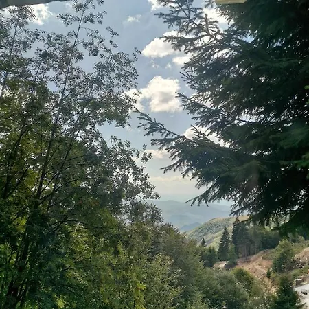 Vikendica Ceperkovic #2 * Kopaonik