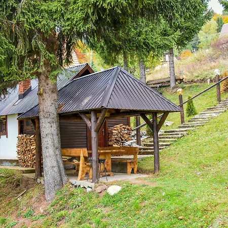 Vikendica Ceperkovic #2 * Kopaonik